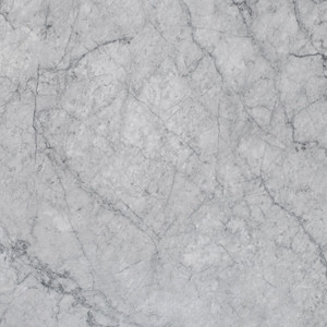 Carrara Silver